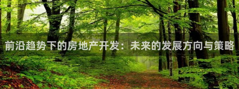 新宝5黑：前沿趋势下的房地产开发：未来的发展方向与策略