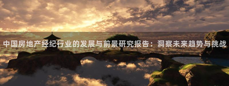 新宝5下载app：中国房地产经纪行业的发展与前景研究报告：洞