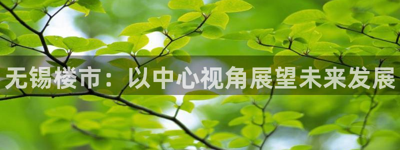 新宝5注册流程：无锡楼市：以中心视角展望未来发展