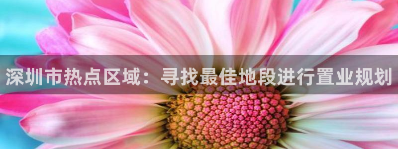 新宝5登录界面：深圳市热点区域：寻找最佳地段进行置业规划