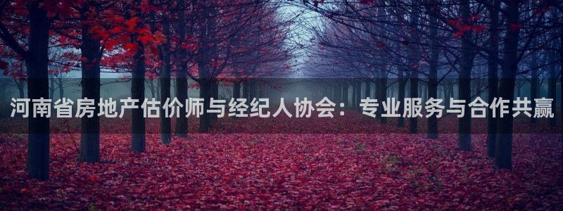 新宝速5：河南省房地产估价师与经纪人协会：专业服务与合作共赢