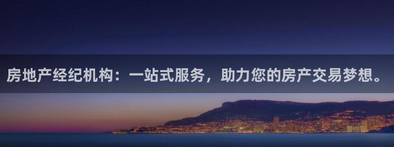 新宝5是什么样子的：房地产经纪机构：一站式服务，助力您的房产