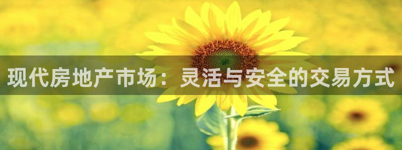 新宝5账号注册：现代房地产市场：灵活与安全的交易方式