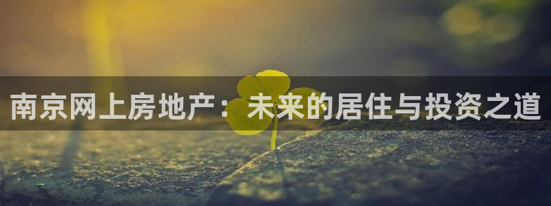新宝5手机测速：南京网上房地产：未来的居住与投资之道