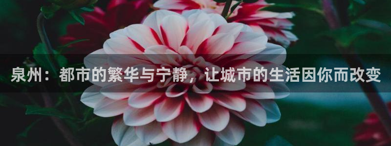 新宝5测速登录：泉州：都市的繁华与宁静，让城市的生活因你而改