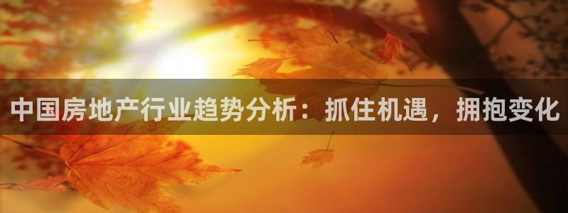 新宝5测：中国房地产行业趋势分析：抓住机遇，拥抱变化