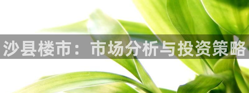 新宝5娱乐主管：沙县楼市：市场分析与投资策略