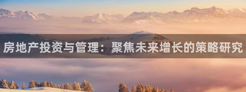 新宝5什么时候上市：房地产投资与管理：聚焦未来增长的策略研究