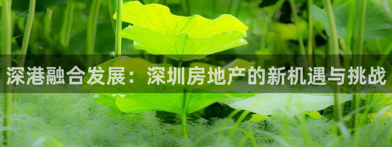 新宝5吴74OOO5：深港融合发展：深圳房地产的新机遇与挑战