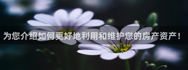 皇冠新宝5：为您介绍如何更好地利用和维护您的房产资产！