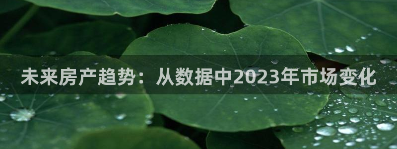 新宝5可靠吗：未来房产趋势：从数据中2023年市场变化