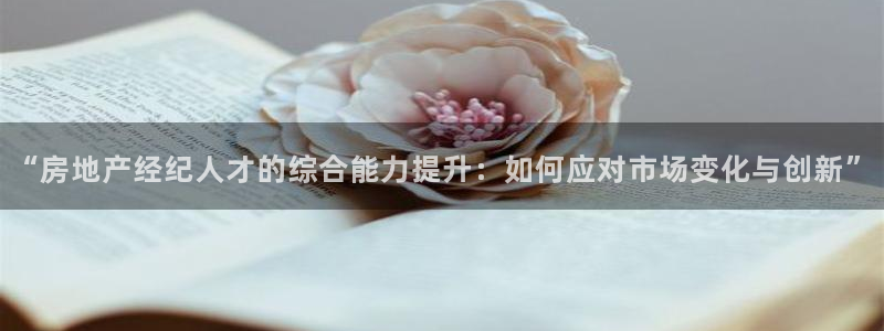 新宝5是谁的：“房地产经纪人才的综合能力提升：如何应对市场变