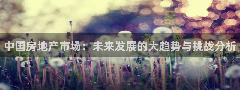 新宝5电脑：中国房地产市场：未来发展的大趋势与挑战分析