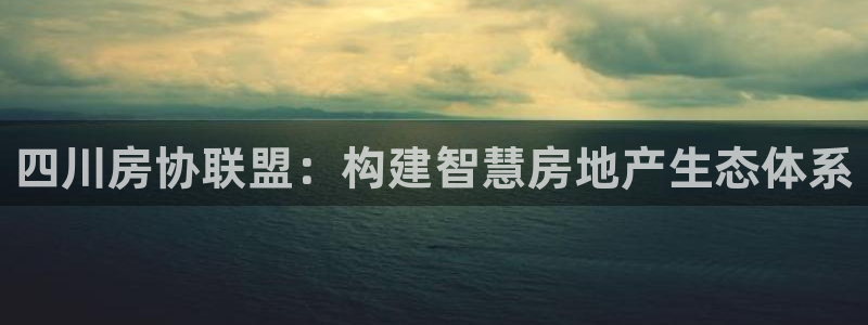 新宝5测速登陆：四川房协联盟：构建智慧房地产生态体系