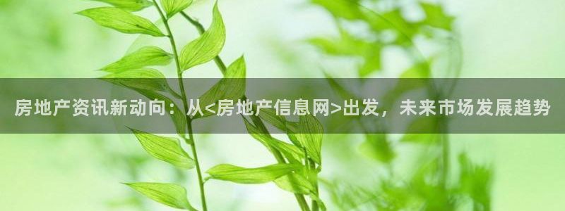 2022新宝骏rs 5：房地产资讯新动向：从<房地产信息网>
