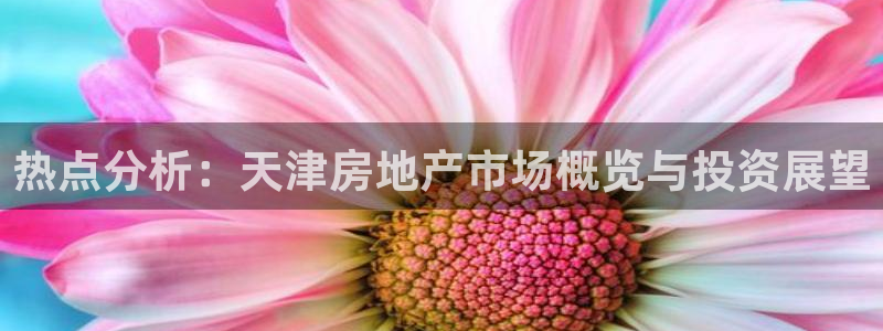 新宝5主管：热点分析：天津房地产市场概览与投资展望