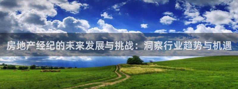 新宝5网址：房地产经纪的未来发展与挑战：洞察行业趋势与机遇