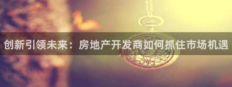 新宝堂新会陈皮5年：创新引领未来：房地产开发商如何抓住市场机