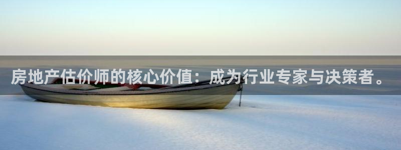 新宝5网址：房地产估价师的核心价值：成为行业专家与决策者。