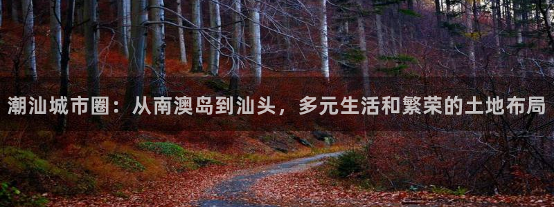 新宝5平台注册：潮汕城市圈：从南澳岛到汕头，多元生活和繁荣的