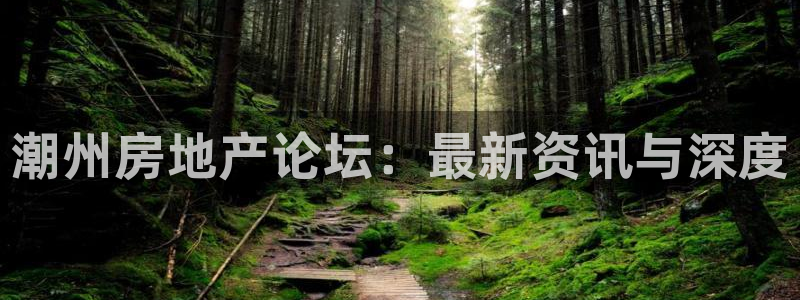 新宝5登录注册：潮州房地产论坛：最新资讯与深度