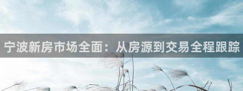 新宝5挂机：宁波新房市场全面：从房源到交易全程跟踪