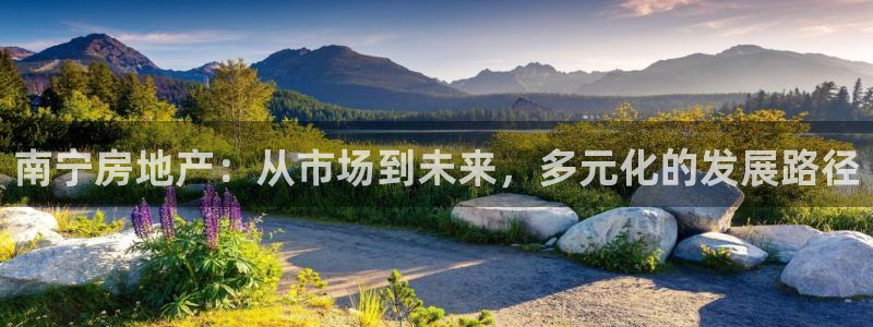 新宝集团新宝5：南宁房地产：从市场到未来，多元化的发展路径