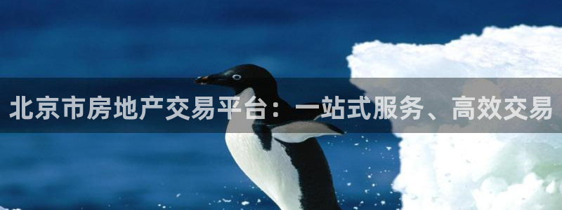 新宝5测速：北京市房地产交易平台：一站式服务、高效交易
