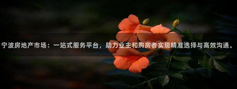 新宝5-：宁波房地产市场：一站式服务平台，助力业主和购房者实