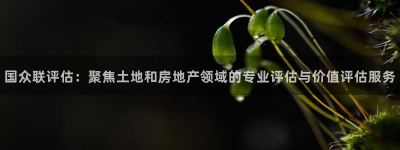 新宝5是什么：国众联评估：聚焦土地和房地产领域的专业评估与价