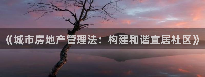 新宝5玩法：《城市房地产管理法：构建和谐宜居社区》