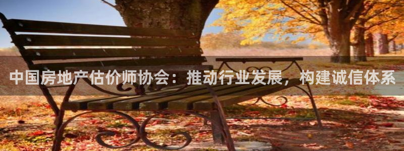 新宝5秒开：中国房地产估价师协会：推动行业发展，构建诚信体系