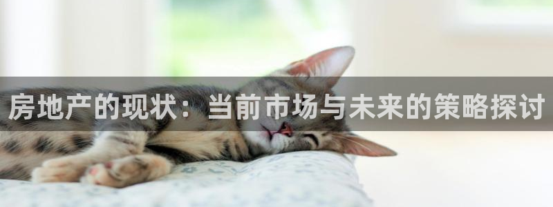 新宝5策略：房地产的现状：当前市场与未来的策略探讨
