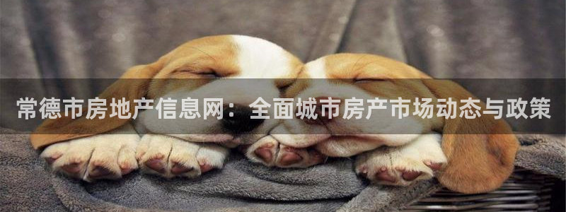 新宝5：常德市房地产信息网：全面城市房产市场动态与政策