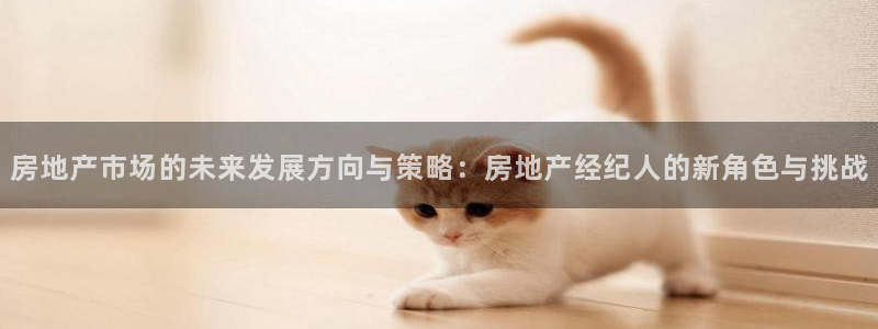 新宝5测：房地产市场的未来发展方向与策略：房地产经纪人的新角