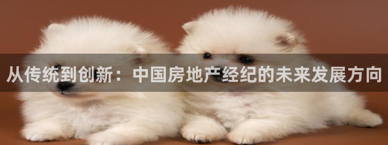 新宝5是谁：从传统到创新：中国房地产经纪的未来发展方向