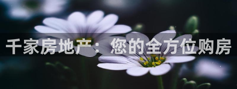 新宝5登陆地址：千家房地产：您的全方位购房