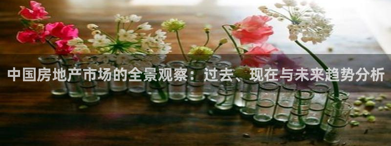 新宝5卫74OOO5：中国房地产市场的全景观察：过去、现在与