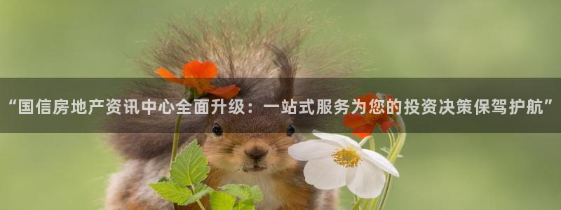 新宝5是谁的：“国信房地产资讯中心全面升级：一站式服务为您的
