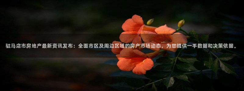 新宝股东瞧听2 5 5