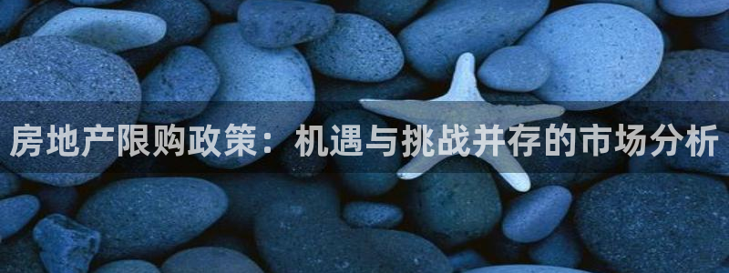 新宝5娱乐登陆：房地产限购政策：机遇与挑战并存的市场分析