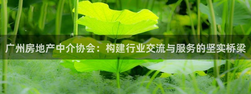 新宝那2O5O5O：广州房地产中介协会：构建行业交流与服务的