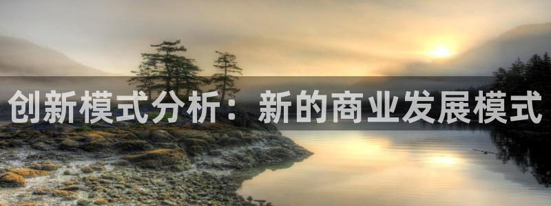 新宝b2O5O5O：创新模式分析：新的商业发展模式