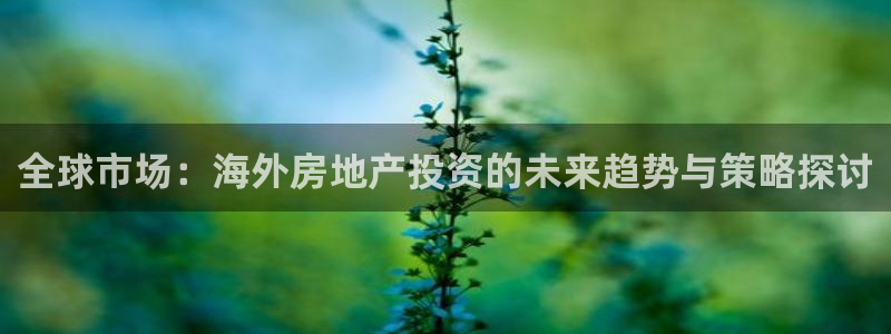 新宝5注册：全球市场：海外房地产投资的未来趋势与策略探讨