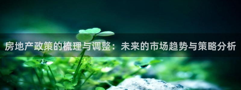 新宝5官网67五壹叁八：房地产政策的梳理与调整：未来的市场趋