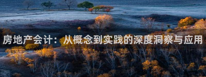 新宝5怎么下载到桌面：房地产会计：从概念到实践的深度洞察与应