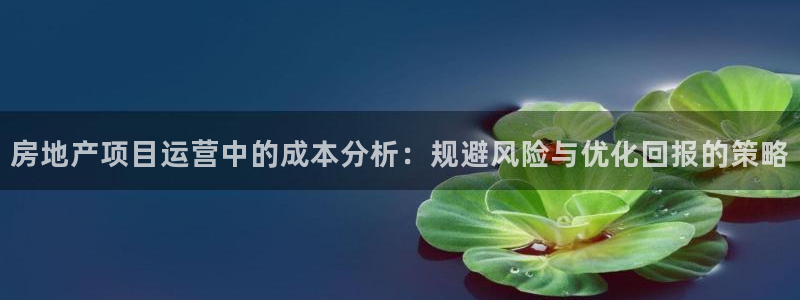 新宝5测试：房地产项目运营中的成本分析：规避风险与优化回报的