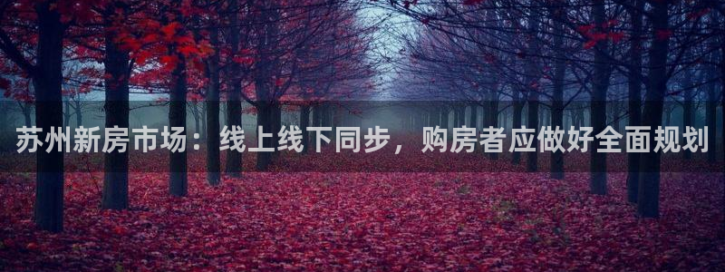 新宝5注册霸：苏州新房市场：线上线下同步，购房者应做好全面规