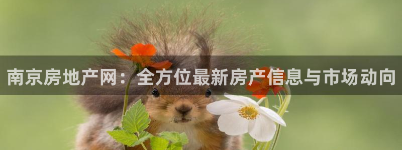 新宝5登录不了：南京房地产网：全方位最新房产信息与市场动向