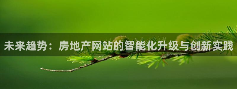 新宝5官方：未来趋势：房地产网站的智能化升级与创新实践